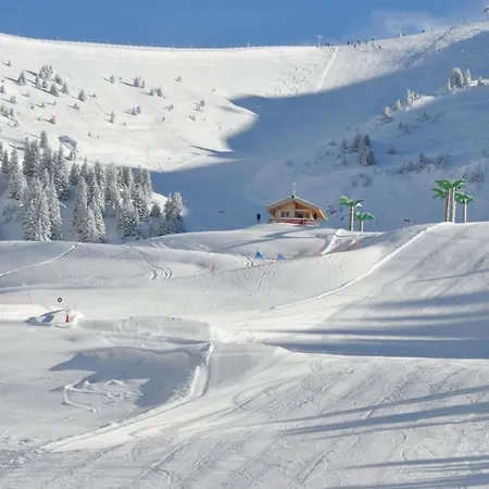 Am104 Duplex 8 Pers Centre Des Carroz * Les Carroz d'Araches